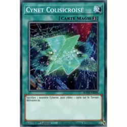 Cynet Colisicroisé