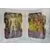 Saint Seiya - Myth Cloth - Ban du Lionnet