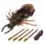 Beast Wars - Blackarachnia