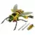 Beast Wars - Buzz Saw