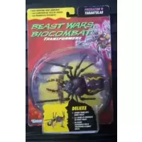 Tarantulas