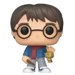Harry Potter - Harry Potter with Owl Ornament