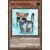 Maximum Gold Eldorado MGED - Chat Sauveteur