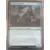 Extension - Cadet dissimulé - Foil