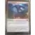 Extension - Frappe assurée - Foil