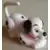 Dalmatian Perched with red collar and long tail in L-shaped position windup