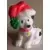 Dalmatian Wearing a red Santa cap