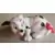 Dalmatian With red bow tied to tail windup