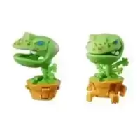 Venus Frogtrap