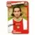 Fabien Laurenti - Ajaccio