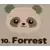 I Love Pandas - Forrest