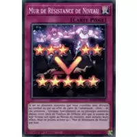 Mur de Résistance de Niveau