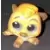 Timon