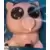 Hamm