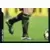 SuperFoot 2005-06 - Flavio Roma (puzzle 3)