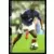 Sylvain Wiltord - En route pour l'Allemagne 2006
