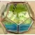 Where Fantasy Grows - A Disney Terrarium Series - Princess and the Frog