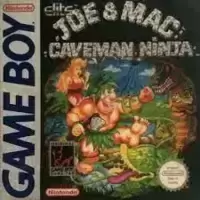 Joe & Mac Caveman Ninja