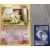 Cartes Pokemon Jumbo XXL - 25ème Anniversaire - Hericendre - Jumbo