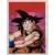 Dragon Ball Universal Collection - Goku