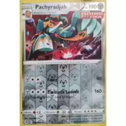 Pachyradjah Reverse