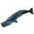 Wild Life - Cachalot