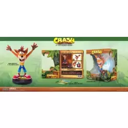 Crash Bandicoot - Crash Bandicoot 9