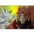 Dragon Ball Universal Collection - Super Yi-Shinron vs Gogeta Super Saiyan 4