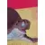 Dragon Ball Universal Collection - Tortue de mer
