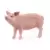 Cochon