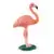 Flamant rose