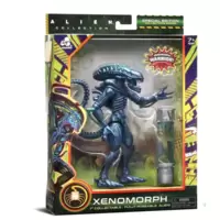 Xenomorph Warrior