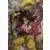 Dragon Ball Universal Collection - Groupe #10