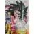Dragon Ball Universal Collection - Goku / Goku Super Saïyan 4