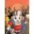 Dragon Ball Universal Collection - Pan