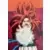 Dragon Ball Universal Collection - Gogeta Super Saïyan 4