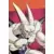 Dragon Ball Universal Collection - Super Li-Shinron