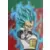 Dragon Ball Universal Collection - Vegeta Super Saïyan Divin Super Saïyan
