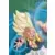 Dragon Ball Universal Collection - Gotenks Super Saïyan