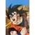 Dragon Ball Universal Collection - Goku
