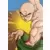 Dragon Ball Universal Collection - Ten Shin Han