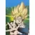 Dragon Ball Universal Collection - Goku Super Saïyan