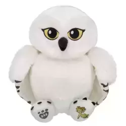 Hedwig