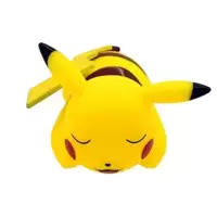 Pikachu endormi