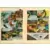 Perry le fantastique - L\'avertissement de l\'immortel
