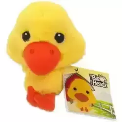 Chick