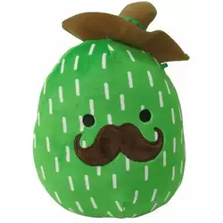 Marcellus the Cactus