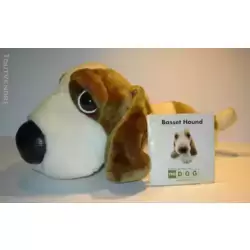 Basset Hound