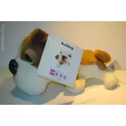 Bulldog