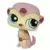 LPS 1564